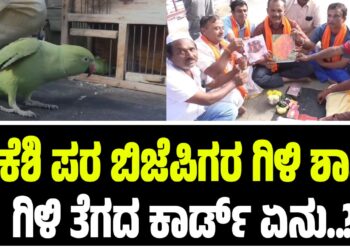 ಡಿಕೆಶಿ ಪರ ಬಿಜೆಪಿಗರ ಗಿಳಿ ಶಾಸ್ತ್ರ: ಗಿಳಿ ತೆಗದ ಕಾರ್ಡ್ ಏನು..?