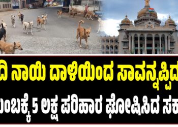 ಬೀದಿ ನಾಯಿ ದಾಳಿಯಿಂದ ಸಾವನ್ನಪ್ಪಿದವರ ಕುಟುಂಬಕ್ಕೆ 5 ಲಕ್ಷ ಪರಿಹಾರ ಘೋಷಿಸಿದ ಸರ್ಕಾರ