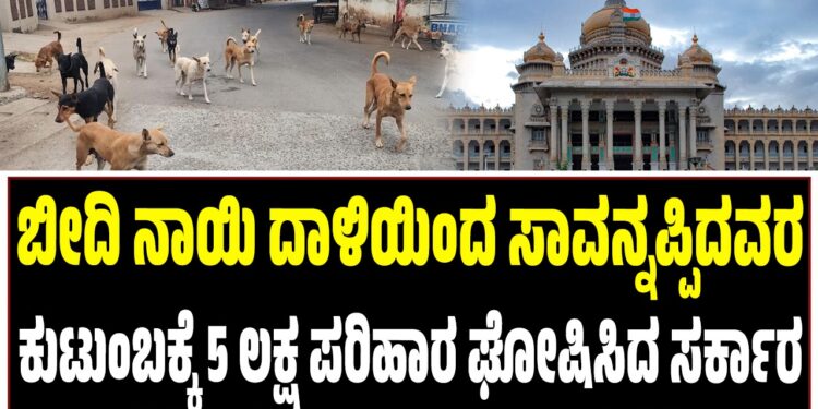 ಬೀದಿ ನಾಯಿ ದಾಳಿಯಿಂದ ಸಾವನ್ನಪ್ಪಿದವರ ಕುಟುಂಬಕ್ಕೆ 5 ಲಕ್ಷ ಪರಿಹಾರ ಘೋಷಿಸಿದ ಸರ್ಕಾರ