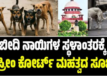 ಬೀದಿ ನಾಯಿಗಳ ಸ್ಥಳಾಂತರಕ್ಕೆ ಸುಪ್ರೀಂ ಕೋರ್ಟ್ ಮಹತ್ವದ ಸೂಚನೆ