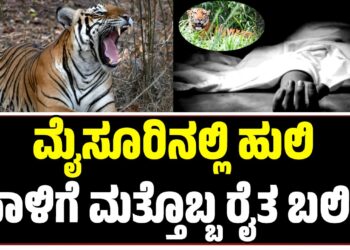 ಮೈಸೂರಿನಲ್ಲಿ ಹುಲಿ ದಾಳಿಗೆ ಮತ್ತೊಬ್ಬ ರೈತ ಬಲಿ