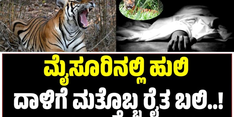 ಮೈಸೂರಿನಲ್ಲಿ ಹುಲಿ ದಾಳಿಗೆ ಮತ್ತೊಬ್ಬ ರೈತ ಬಲಿ