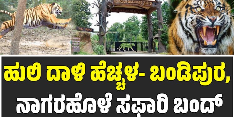 ಹುಲಿ ದಾಳಿ ಹೆಚ್ಚಳ- ಬಂಡಿಪುರ, ನಾಗರಹೊಳೆ ಸಫಾರಿ ಬಂದ್
