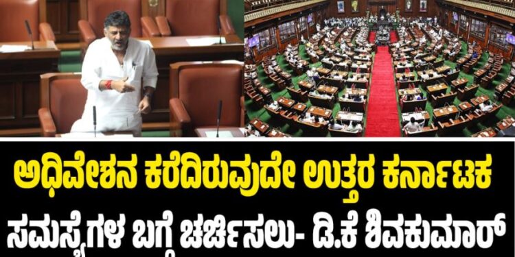 Winter Session 2025: ಅಧಿವೇಶನ ಕರೆದಿರುವುದೇ ಉ.ಕರ್ನಾಟಕ ಸಮಸ್ಯೆಗಳ ಬಗ್ಗೆ ಚರ್ಚಿಸಲು-ಡಿ.ಕೆ ಶಿವಕುಮಾರ್‌