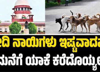 ‘ಬೀದಿ ನಾಯಿಗಳು ಇಷ್ಟವಾದವರು ಮನೆಗೆ ಯಾಕೆ ಕರೆದೊಯ್ಯಲ್ಲ’