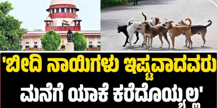 ‘ಬೀದಿ ನಾಯಿಗಳು ಇಷ್ಟವಾದವರು ಮನೆಗೆ ಯಾಕೆ ಕರೆದೊಯ್ಯಲ್ಲ’