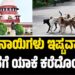 ‘ಬೀದಿ ನಾಯಿಗಳು ಇಷ್ಟವಾದವರು ಮನೆಗೆ ಯಾಕೆ ಕರೆದೊಯ್ಯಲ್ಲ’