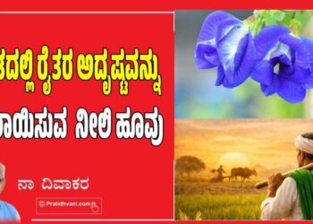 Butterfly Pea: ಭಾರತದಲ್ಲಿ ರೈತರ ಅದೃಷ್ಟವನ್ನು ಬದಲಾಯಿಸುವ ನೀಲಿ ಹೂವು..!