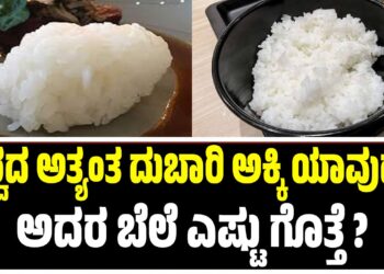 ವಿಶ್ವದ ಅತ್ಯಂತ ದುಬಾರಿ ಅಕ್ಕಿ ಯಾವುದು? ಅದರ ಬೆಲೆ‌ ಎಷ್ಟು ಗೊತ್ತೆ ?