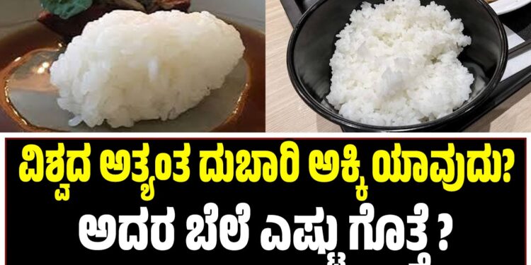 ವಿಶ್ವದ ಅತ್ಯಂತ ದುಬಾರಿ ಅಕ್ಕಿ ಯಾವುದು? ಅದರ ಬೆಲೆ‌ ಎಷ್ಟು ಗೊತ್ತೆ ?
