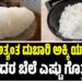 ವಿಶ್ವದ ಅತ್ಯಂತ ದುಬಾರಿ ಅಕ್ಕಿ ಯಾವುದು? ಅದರ ಬೆಲೆ‌ ಎಷ್ಟು ಗೊತ್ತೆ ?