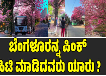 ಬೆಂಗಳೂರನ್ನ ಪಿಂಕ್ ಸಿಟಿ ಮಾಡಿದವರು ಯಾರು ? ಗುಲಾಬಿ ಹೂ ಕಾಣಲು ಇವರೇ ಕಾರಣ