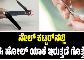 ನೇಲ್ ಕಟ್ಟರ್ ನಲ್ಲಿ ಈ ಹೋಲ್ ಯಾಕೆ ಇರುತ್ತದೆ ಗೊತ್ತೆ ?