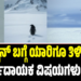 ಪೆಂಗ್ವಿನ್ ಬಗ್ಗೆ ಯಾರಿಗೂ ತಿಳಿಯದ ಆಶ್ಚರ್ಯದಾಯಕ ವಿಷಯಗಳು ಇಲ್ಲಿದೆ