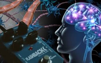 ಸಾವಿನ ಕೊನೆಕ್ಷಣ ಮನುಷ್ಯನ ಮೆದುಳು ಕೆಲಸೆಕೆಂಡುಗಳು ಈ ರೀತಿಯಾಗಿರುತ್ತದೆ!