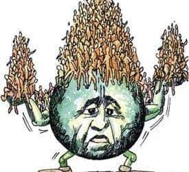 ಭೂಮಿಗೆ ಮೀರಿದ ಜನಸಂಖ್ಯೆ ಒತ್ತಡ: 2070ರೊಳಗೆ ಗಂಭೀರ  ಸಂಕಟದ ಎಚ್ಚರ