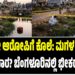 ಸ್ಟಾರ್ ನಾಯಕರ ಮಾತೇ ಮುಳುವಾಯಿತಾ? ಬಾಗಲಕೋಟೆಯಲ್ಲಿ ಬಿಜೆಪಿ ಸೋಲಿನ ಹಿಂದೆ ‘ನಾಲಿಗೆಯ ದೋಷ’ ಚರ್ಚೆ