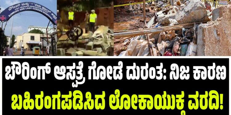‘ಕಾಕ್ರೋಚ್ ಜನತಾ ಪಾರ್ಟಿ’ ಹಿಂದೆ ವಿದೇಶಿ ಸಂಪರ್ಕ? ನೆಟ್ಟಿಗರ ಪ್ರಶ್ನೆಗೆ ಸಂಸ್ಥಾಪಕ ಹೇಳಿದ್ದೇನು?