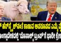 ಟ್ರಂಪ್‌ ಹೆರ್‌ಸ್ಟೈಲ್‌ನಂತೆ ಕಾಣುವ ಅಪರೂಪದ ಎಮ್ಮೆ ವೈರಲ್‌; ಬಾಂಗ್ಲಾದೇಶದಲ್ಲಿ ‘ಡೊನಾಲ್ಡ್ ಟ್ರಂಪ್’ಗೆ ಭಾರೀ ಕ್ರೇಜ್!
