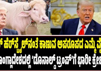 ಟ್ರಂಪ್‌ ಹೆರ್‌ಸ್ಟೈಲ್‌ನಂತೆ ಕಾಣುವ ಅಪರೂಪದ ಎಮ್ಮೆ ವೈರಲ್‌; ಬಾಂಗ್ಲಾದೇಶದಲ್ಲಿ ‘ಡೊನಾಲ್ಡ್ ಟ್ರಂಪ್’ಗೆ ಭಾರೀ ಕ್ರೇಜ್!