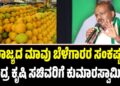 ರಾಜ್ಯದ ಮಾವು ಬೆಳೆಗಾರರ ಸಂಕಷ್ಟ: ಕೇಂದ್ರ ಕೃಷಿ ಸಚಿವರಿಗೆ ಕುಮಾರಸ್ವಾಮಿ ಪತ್ರ