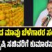 ರಾಜ್ಯದ ಮಾವು ಬೆಳೆಗಾರರ ಸಂಕಷ್ಟ: ಕೇಂದ್ರ ಕೃಷಿ ಸಚಿವರಿಗೆ ಕುಮಾರಸ್ವಾಮಿ ಪತ್ರ