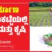 ನಿರ್ಮಾಣ ಮಾರುಕಟ್ಟೆಯಲ್ಲಿ ರೈತ ಮತ್ತು ಕೃಷಿ