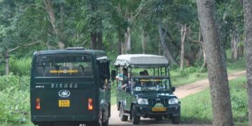 ಬಂಡಿಪುರ, ನಾಗರಹೊಳೆ ಸಫಾರಿಗೆ ಗ್ರೀನ್ ಸಿಗ್ನಲ್: ಸುರಕ್ಷತೆಗೆ ಮೊದಲ ಆದ್ಯತೆ