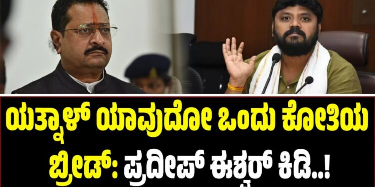 ಯತ್ನಾಳ್ ಯಾವುದೋ ಒಂದು ಕೋತಿಯ ಬ್ರೀಡ್: ಪ್ರದೀಪ್ ಈಶ್ವರ್ ಕಿಡಿ