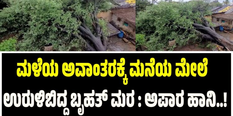 Rain Damage