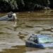 Assam Flood: ವರುಣನ ಅಬ್ಬರಕ್ಕೆ ತತ್ತರಿಸಿದ ಅಸ್ಸಾಂ: ಸಾ**ನ ಸಂಖ್ಯೆ 78ಕ್ಕೆ ಏರಿಕೆ