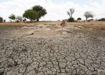 Drought: ಈ ಬಾರಿ ಭಾರತ ಬರಗಾಲ ಎದುರಿಸುತ್ತಾ? 126 ವರ್ಷಗಳಲ್ಲಿ ಕಡಿಮೆ ಮಳೆ ದಾಖಲು!