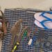 ಹನೂರು ಶೂಟೌಟ್‌ ಕೇಸ್‌ಗೆ ಟ್ವಿಸ್ಟ್: ಸ್ಟಿಕ್ಕರ್ ತೆಗೆಯದ ಚಪ್ಪಲಿ ಸಾಕ್ಷಿ ನೀಡಿದ ಅರಣ್ಯ ಇಲಾಖೆ