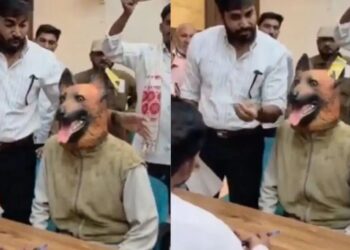 ನಾಯಿಯ ಮುಖವಾಡ ಧರಿಸಿ ಜಿಲ್ಲಾಧಿಕಾರಿ ಕಚೇರಿಗೆ ಬಂದ ವ್ಯಕ್ತಿ: ಕಾರಣವೇನು
