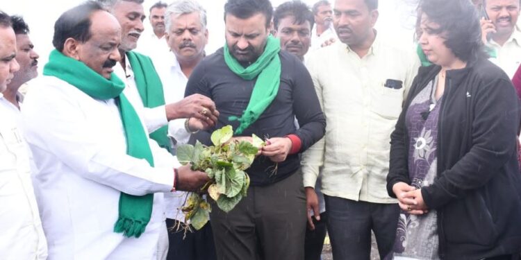 ಸಂಕಷ್ಟದಲ್ಲಿ ನವಲಗುಂದ ರೈತರು: ಪರಿಹಾರದ ಭರವಸೆ ನೀಡಿದ ಸಚಿವ ಸಂತೋಷ ಲಾಡ್
