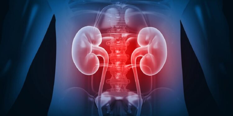 Curbing indiscriminate use of painkillers CDSCO warns of kidney damage