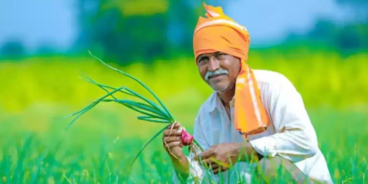 Good news for farmers from the Centre: