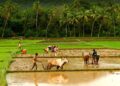 Good News Farmers to receive a monthly pension of ₹3,000 from the Central Government