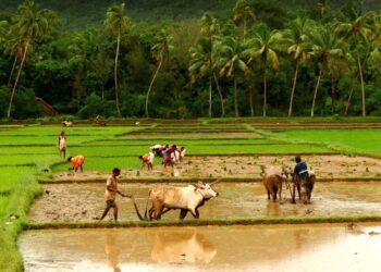 Good News Farmers to receive a monthly pension of ₹3,000 from the Central Government