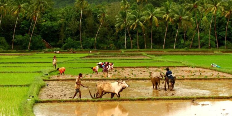 Good News Farmers to receive a monthly pension of ₹3,000 from the Central Government