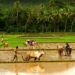 Good News Farmers to receive a monthly pension of ₹3,000 from the Central Government