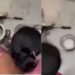 SHOCKING Sweet shop staff wash dishes in the toilet; video goes viral