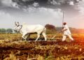 Fear of a decline in Kharif crop production in 2026-27 due to the El Niño effect: Distress for farmers | El Niño