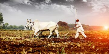 Fear of a decline in Kharif crop production in 2026-27 due to the El Niño effect: Distress for farmers | El Niño