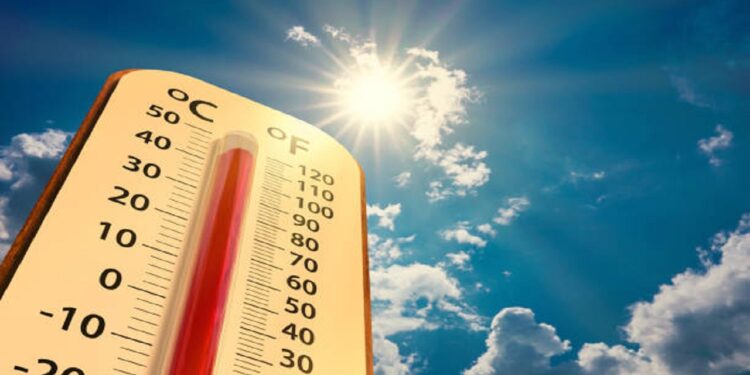 Record-breaking temperature rise: World Meteorological Organization warns about the impact of 'El Niño'
