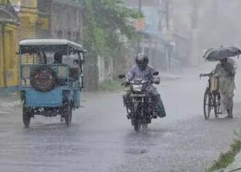 Low-pressure area: Heavy rain forecast for these districts in the state