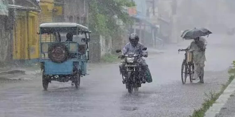 Low-pressure area: Heavy rain forecast for these districts in the state
