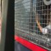 BREAKING: Mamata Banerjee and several TMC MPs detained by police in Delhi