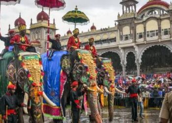 Countdown to the world-famous Mysuru Dasara Jumbo Savari: 'Prashantha' is all set to carry the 750 kg golden howdah.